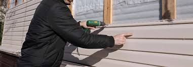 Best Storm Damage Siding Repair  in Columbus Junction, IA